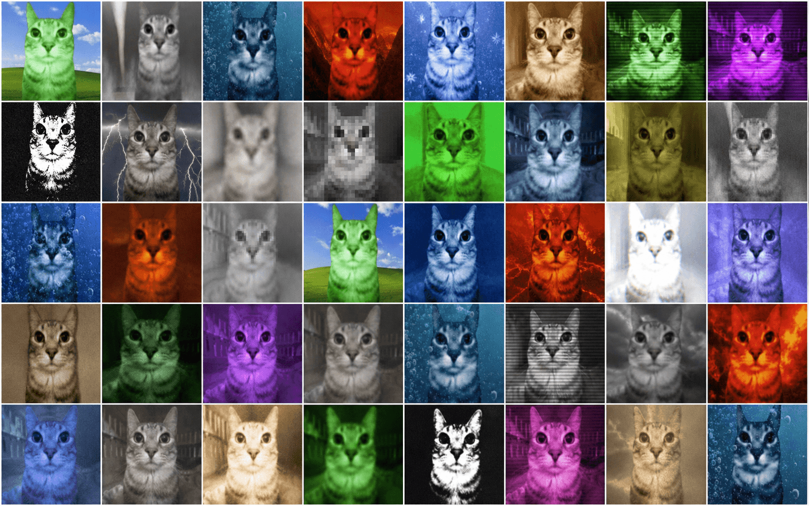 Forty lo-fi Zazu cat portraits in green, gray, underwater blue, fire red, and other elemental styles